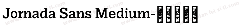 Jornada Sans Medium字体转换